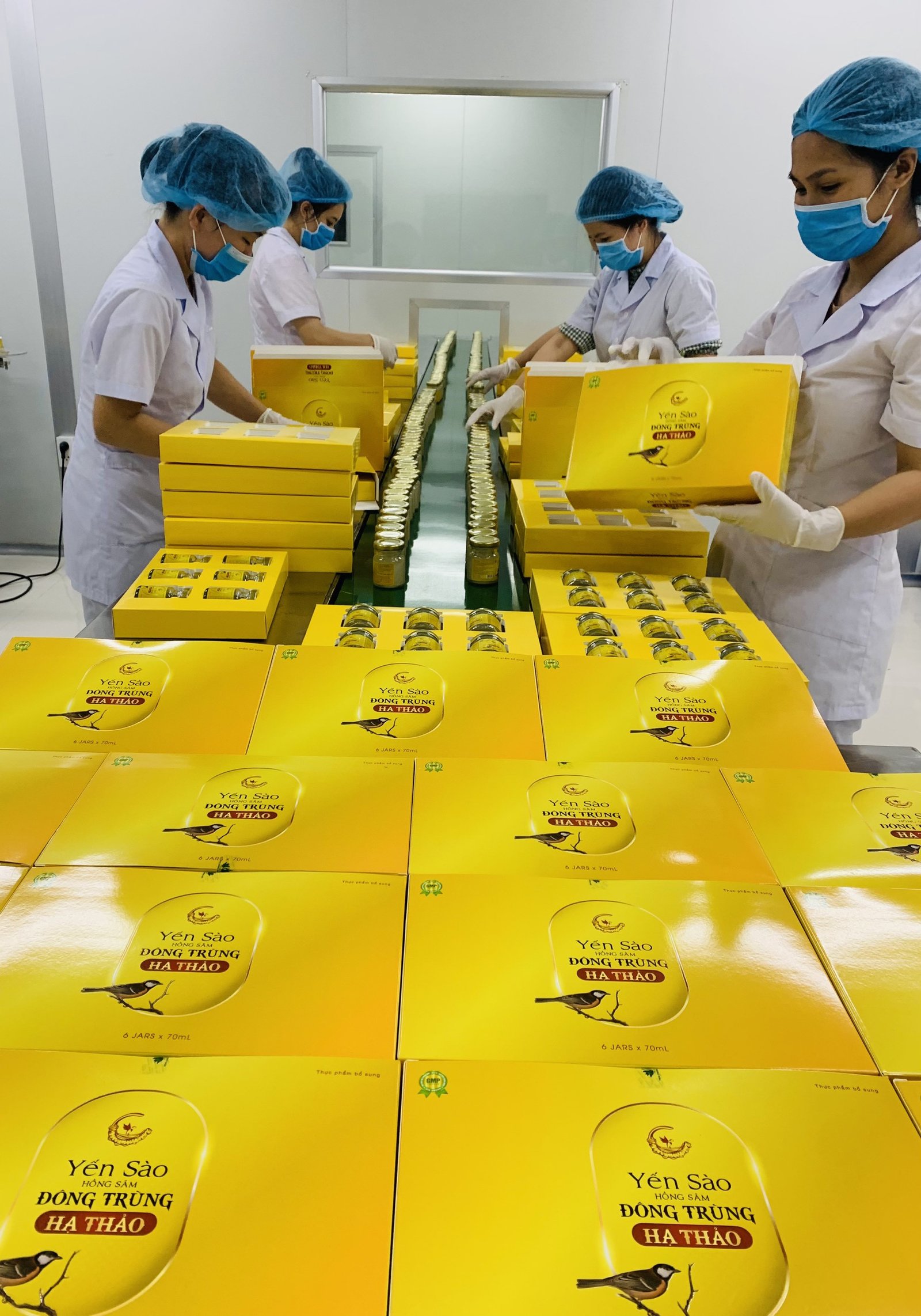 13 TÁC DỤNG TUYỆT VỜI CỦA YẾN CHƯNG VỚI SỨC KHỎE CỦA CON NGƯỜI